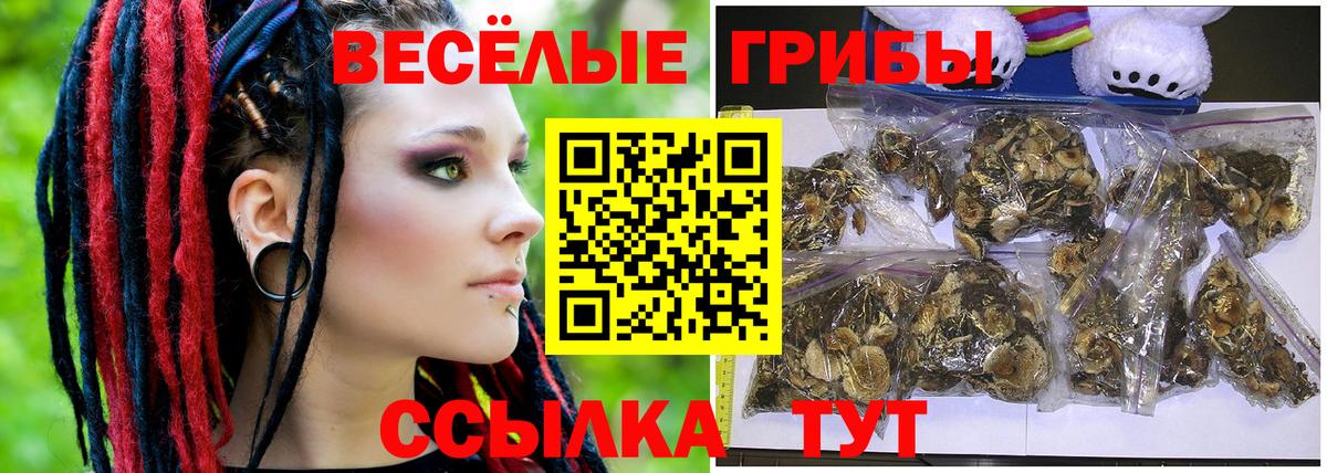 Галлюциногенные грибы мухоморы  Вход с VPN  Армавир 